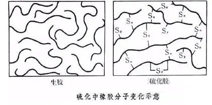 rubber cell constructure